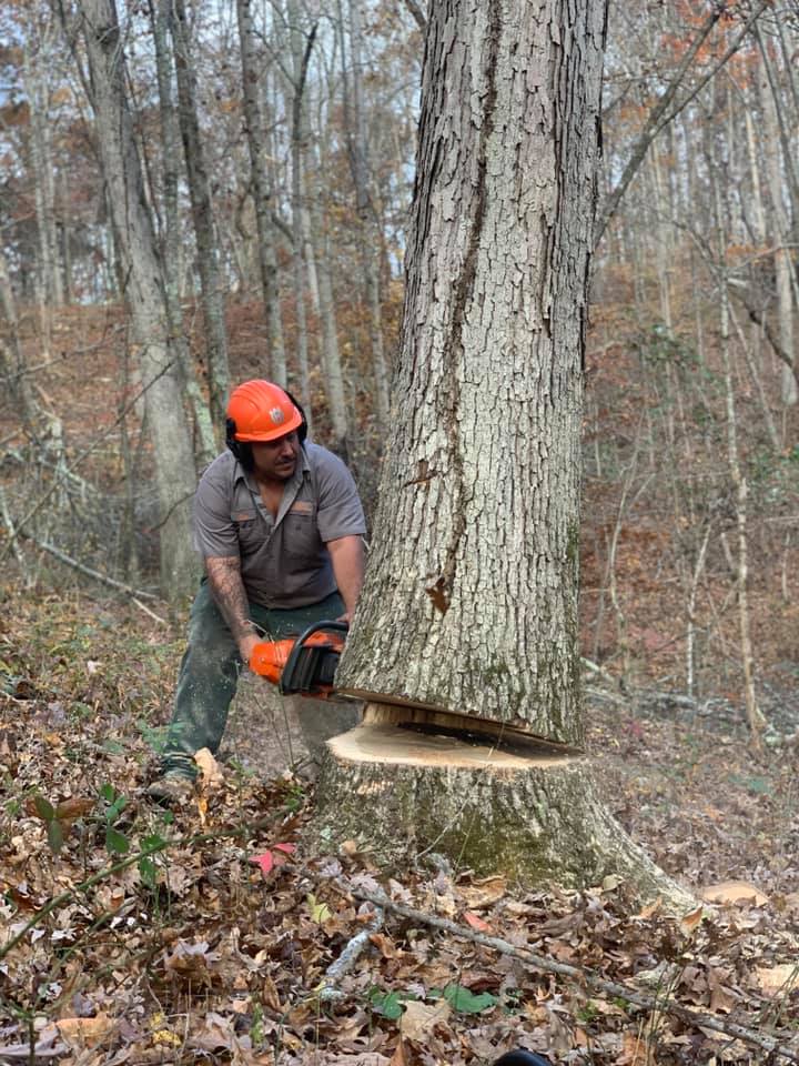 McEwen Logging and Excavation Team at Work